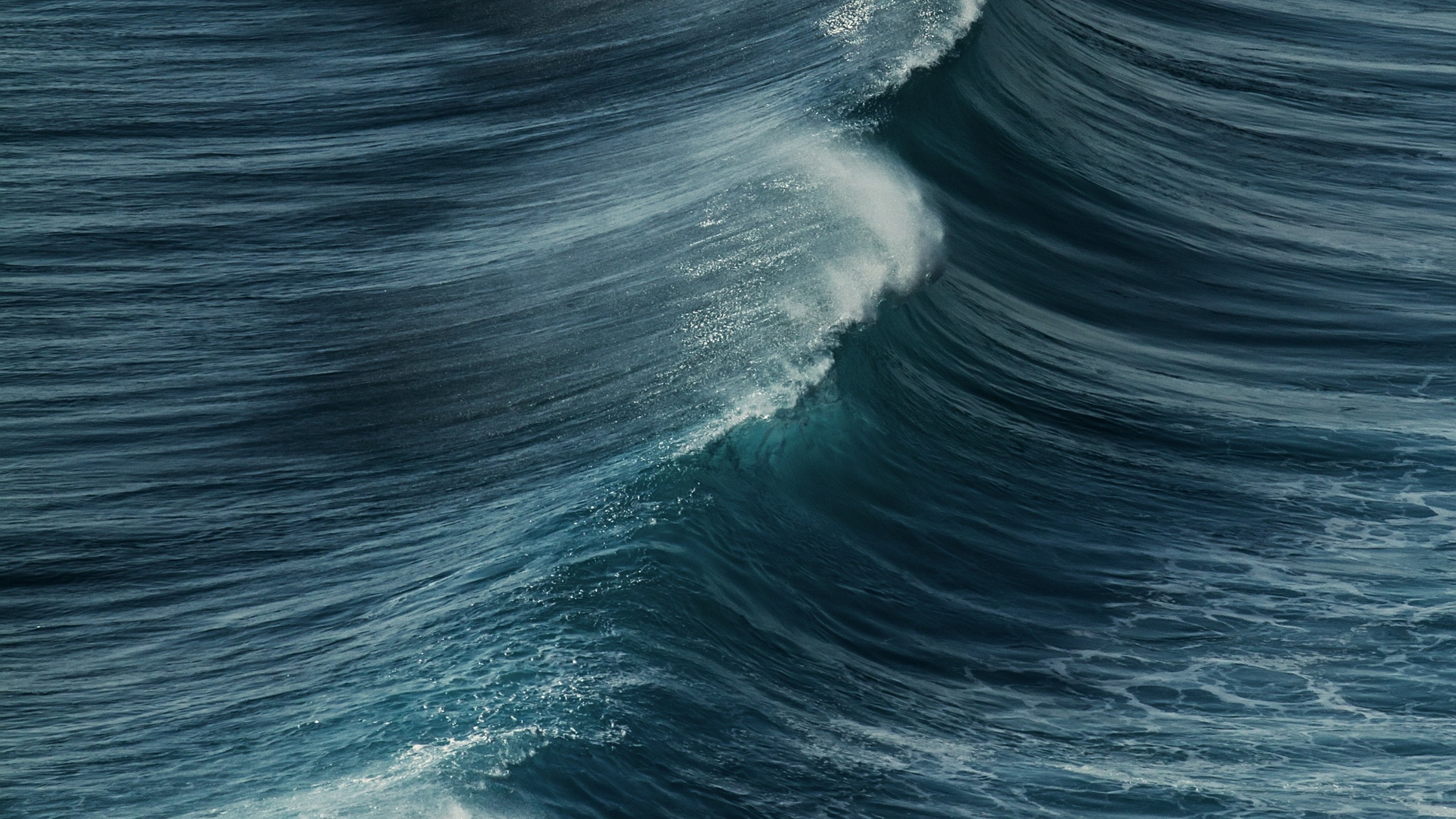 Surfer on a wave in Sri Lanka